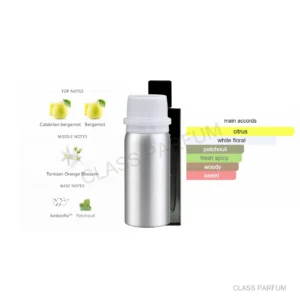 P69-100ML Inspired by MYSLF EDP 100ML